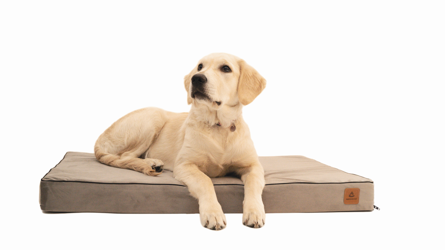 Cuccia morbida per cani - Lettino per cani MELMAN - immagine 2