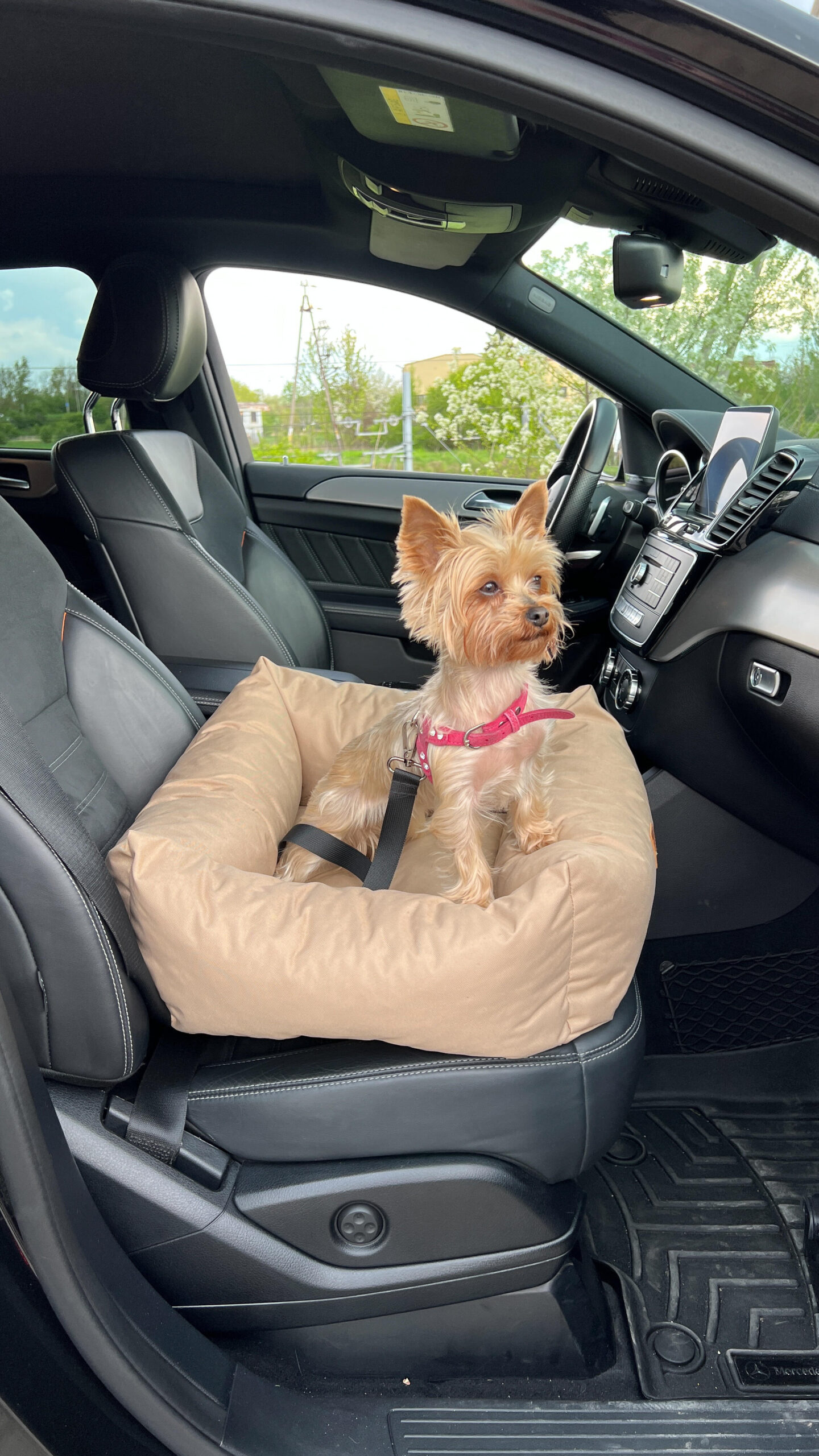 Seggiolino per cani per auto JULIAN - immagine 11