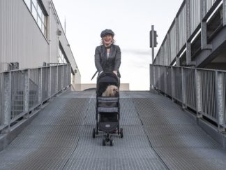 passeggino per il cane