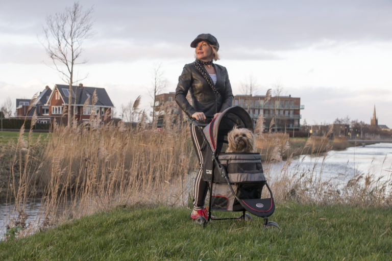 Passeggino per cani e gatti fino a 11kg Avenue - compreso parapioggia - immagine 9