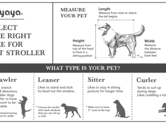 Scegliere il passeggino per cani perfetto