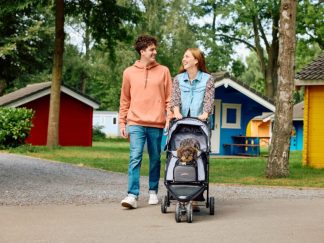 Dove acquistare un passeggino per il cane