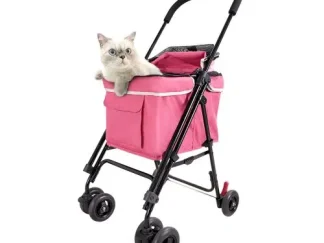 Passeggino per il gatto