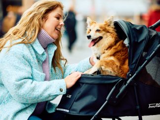 Passeggini per cani economici