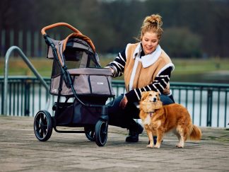 Passeggini per cani anziani, malati o in riabilitazione