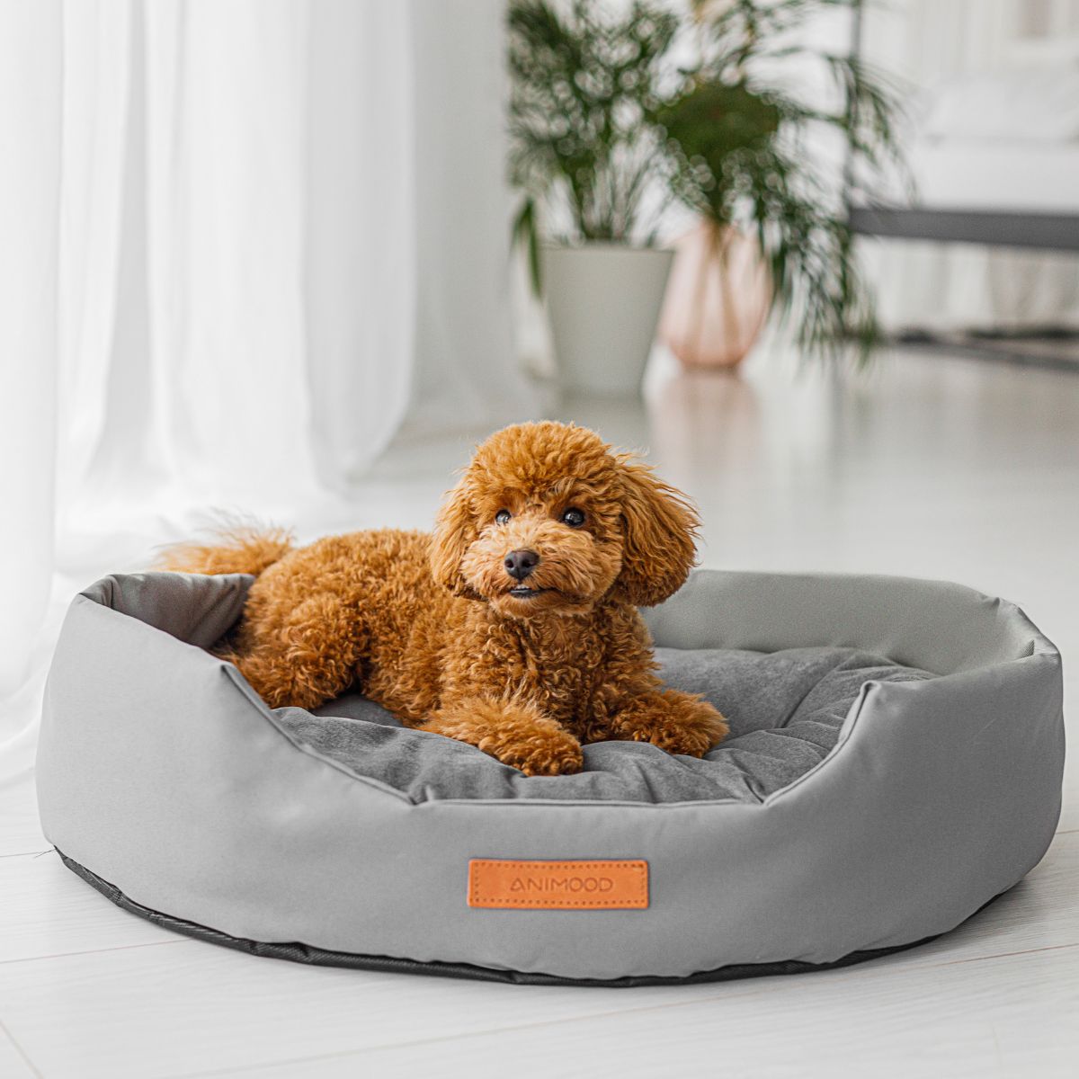 Lettino ovale per cani e gatti MIA - immagine 12
