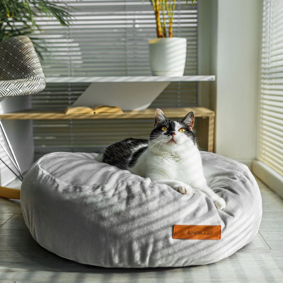 Lettino pouf per cani e gatti MOLLY - immagine 6