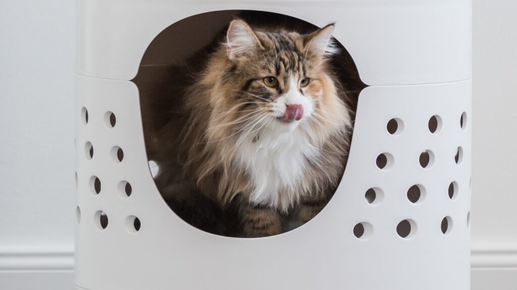 Catrub ONE taglia perfetta