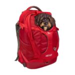 Zaino per cani e gatti fino a 11kg - G-Train