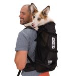 Zaino per cani fino a 23 kg Knavigate