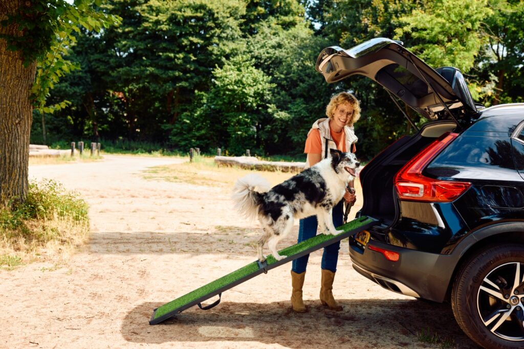 Rampa per far salire il cane in macchina