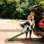 Rampa per far salire il cane in macchina InnoPet GrassRamp