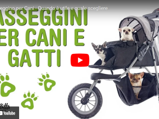 Video passeggini per cani e gatti