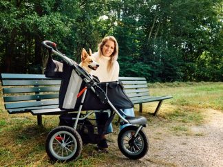 Passeggino per cani disabili