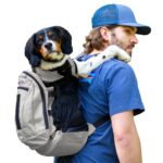 Zaino per cani fino a 18 kg - Plus 2