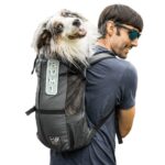 Zaino per cani fino a 13 kg - Trainer