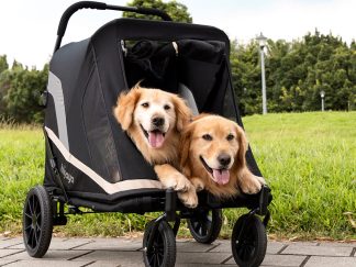 Passeggino due cani grandi