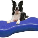Tappetino di allenamento per cani - K9FITbone Giant