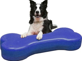 Tappetino di allenamento per cani - K9FITbone Giant