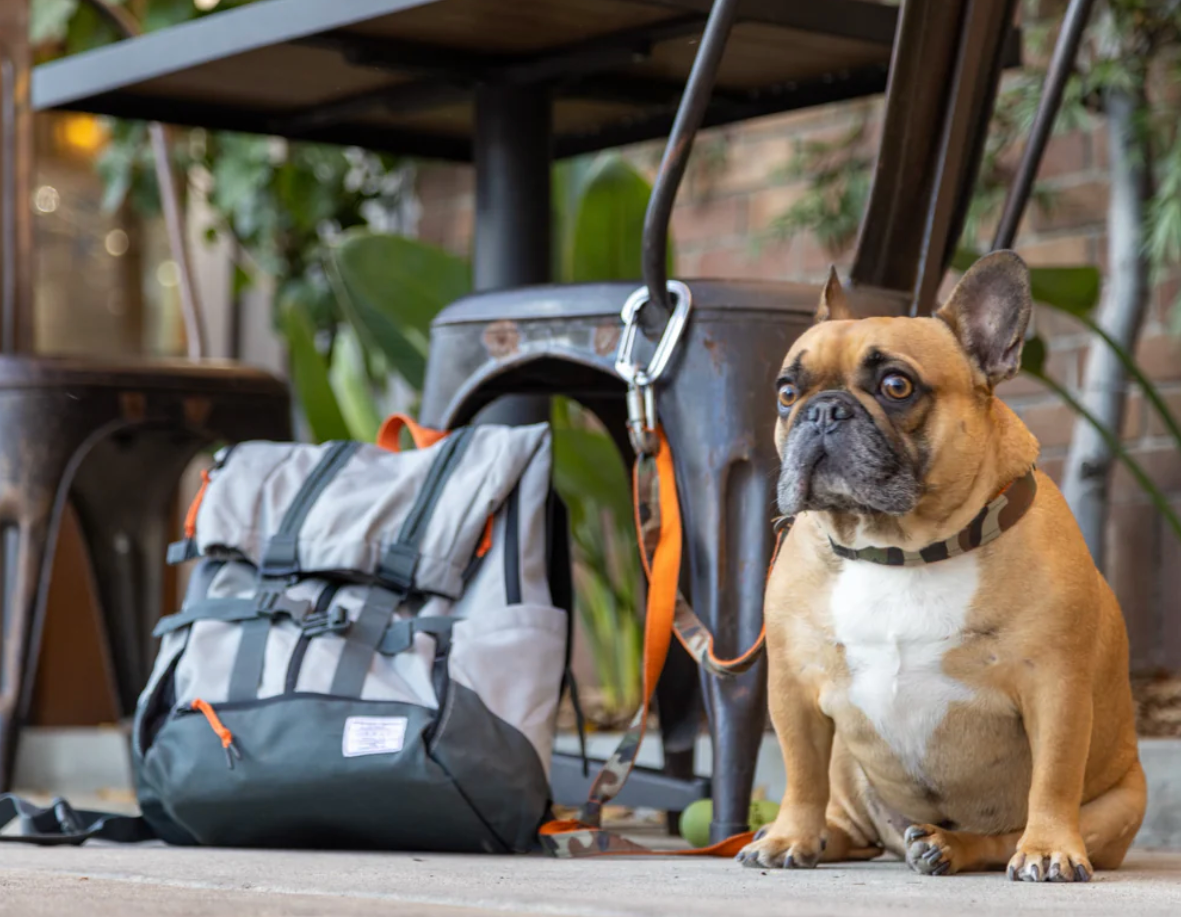 Zaino per cani e gatti fino a 18 kg Urban 3 - immagine 7
