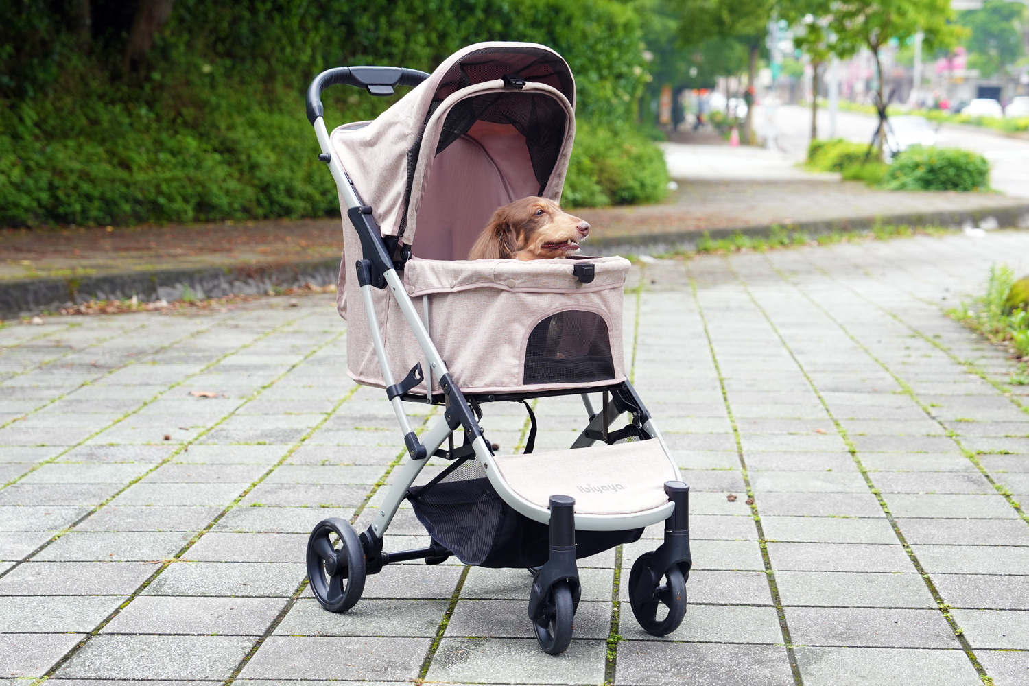 Passeggino per cani e gatti fino a 20 Kg - Speedy Fold - immagine 3