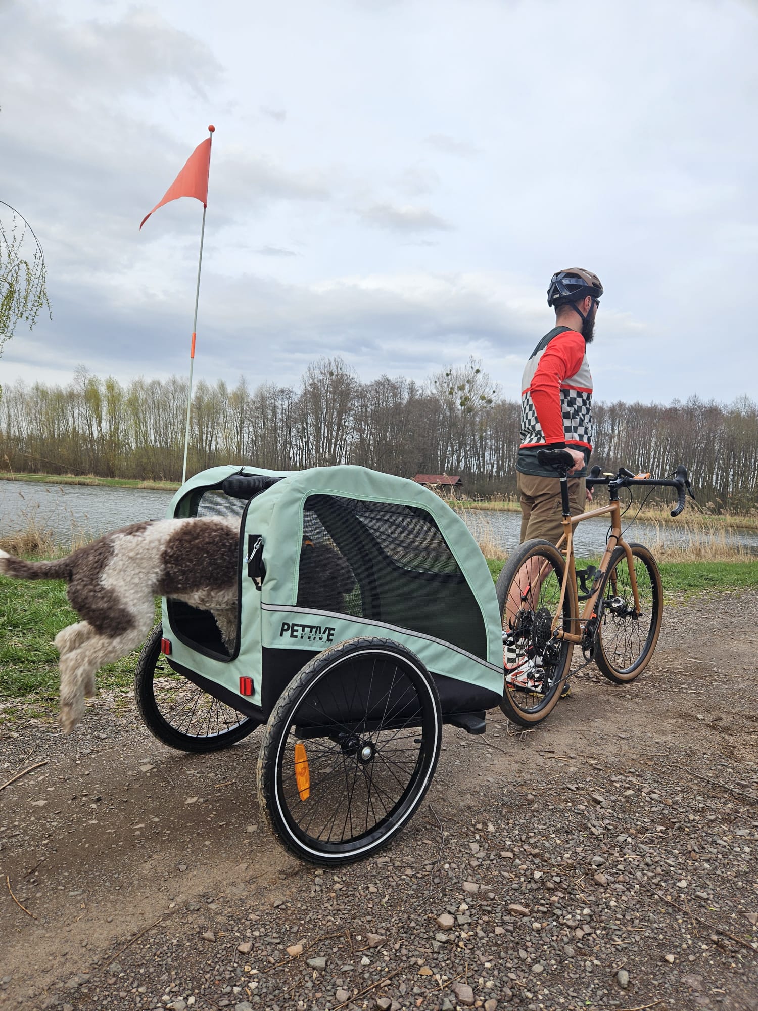 Passeggino con rimorchio per bicicletta per cani fino a 40 kg - ACTIVE ONE - immagine 12