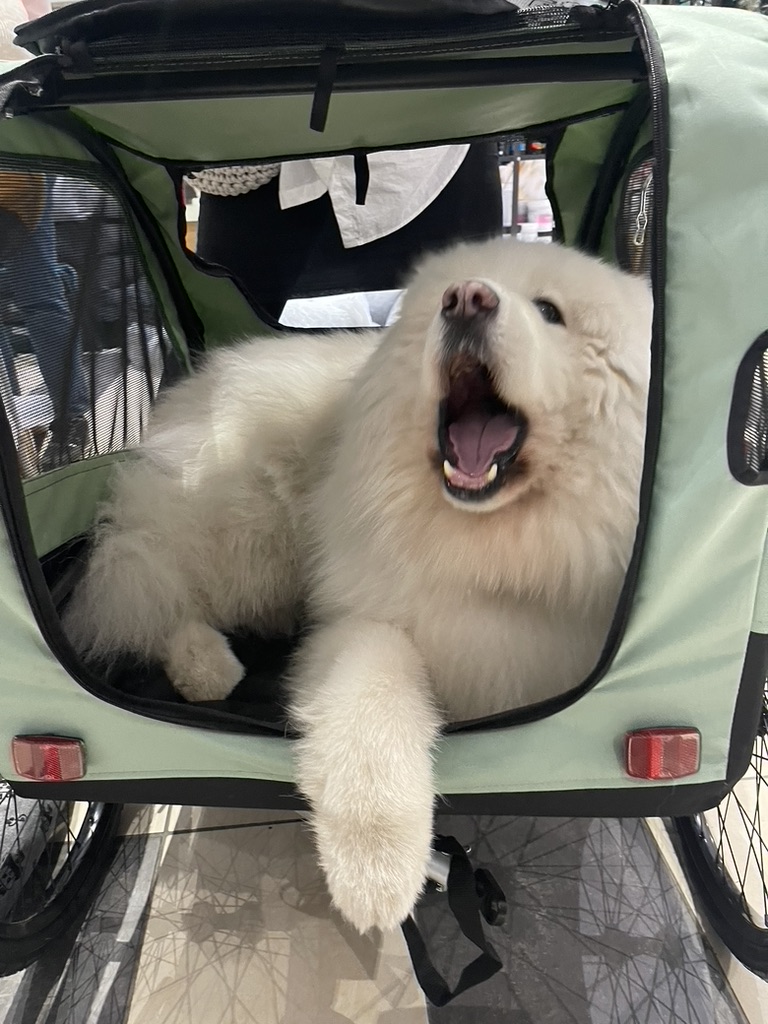 Passeggino con rimorchio per bicicletta per cani fino a 40 kg - ACTIVE ONE - immagine 7