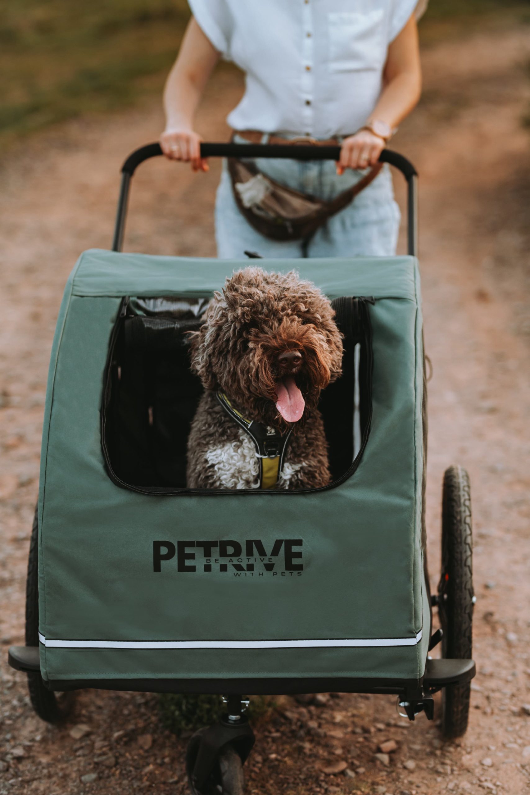 Passeggino con rimorchio per bicicletta per cani fino a 40 kg - ACTIVE ONE - immagine 2