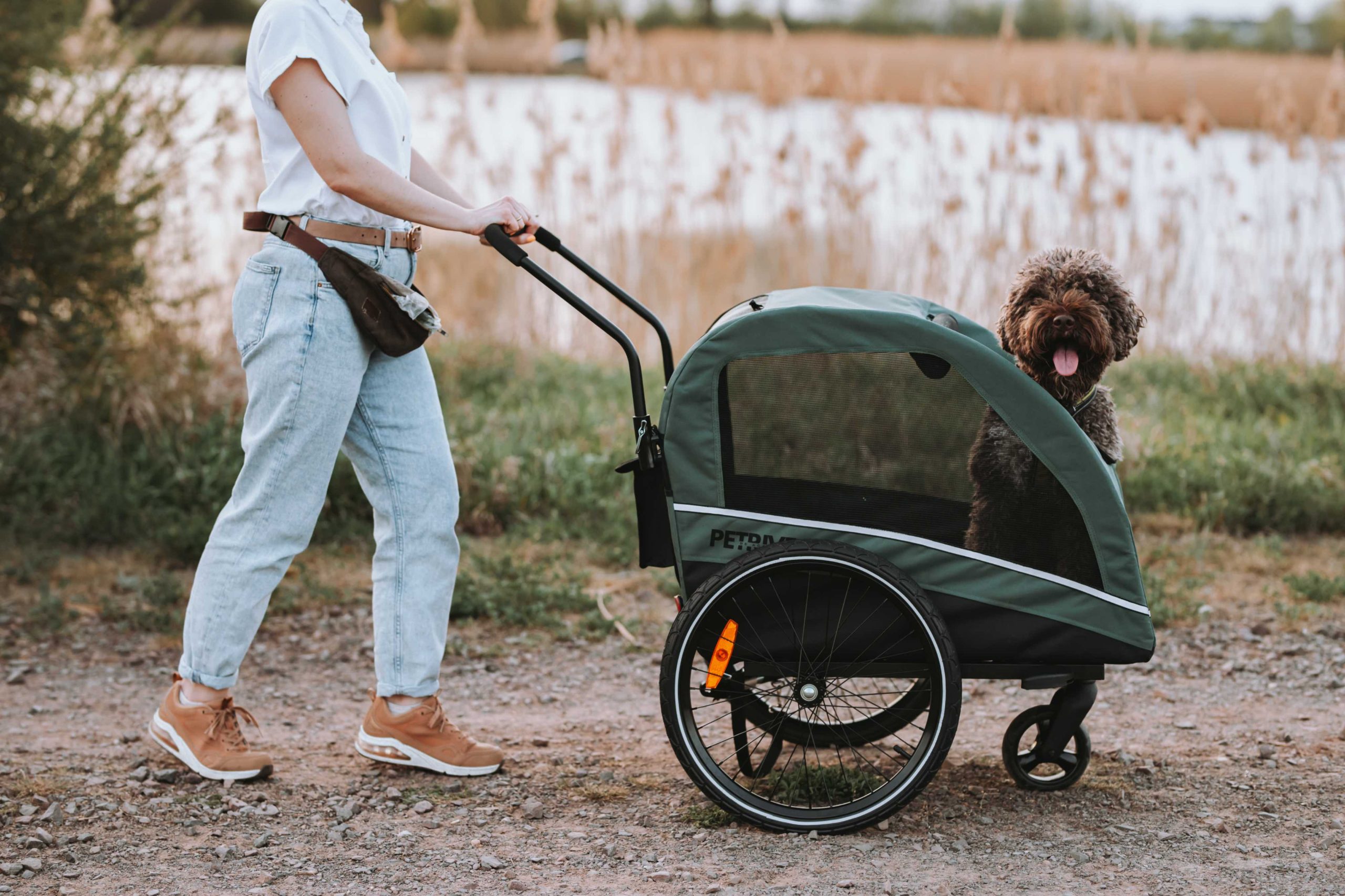 Passeggino con rimorchio per bicicletta per cani fino a 40 kg - ACTIVE ONE - immagine 3