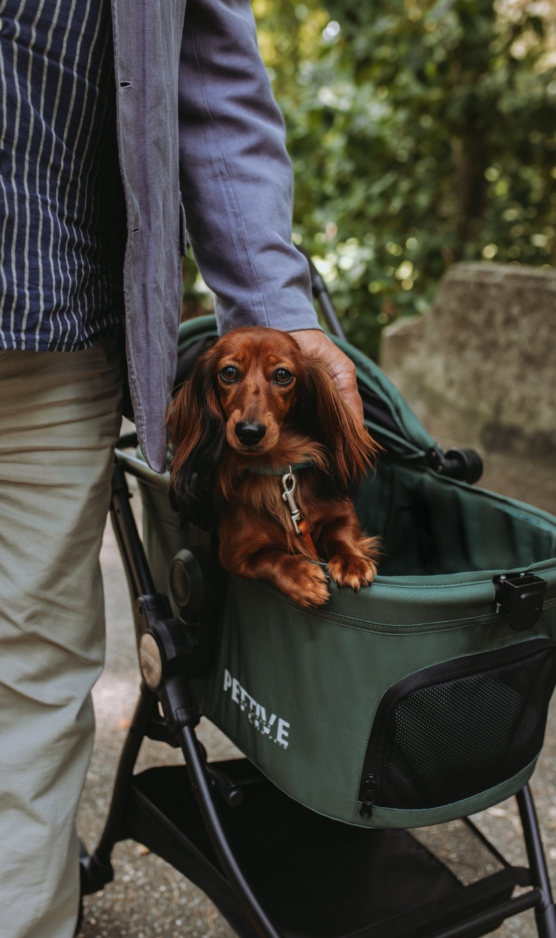 Passeggino per cani o gatti fino a 30 kg – BRIDER - immagine 10