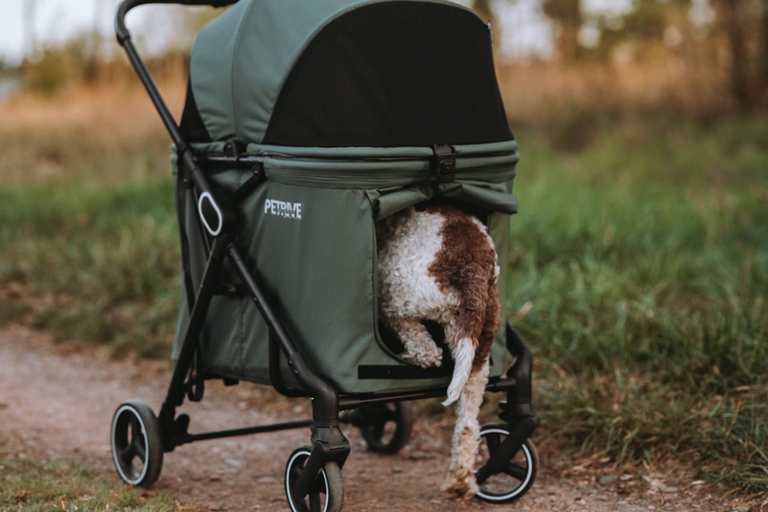 Passeggino per cani o gatti fino a 30 kg – BRIDER - immagine 13