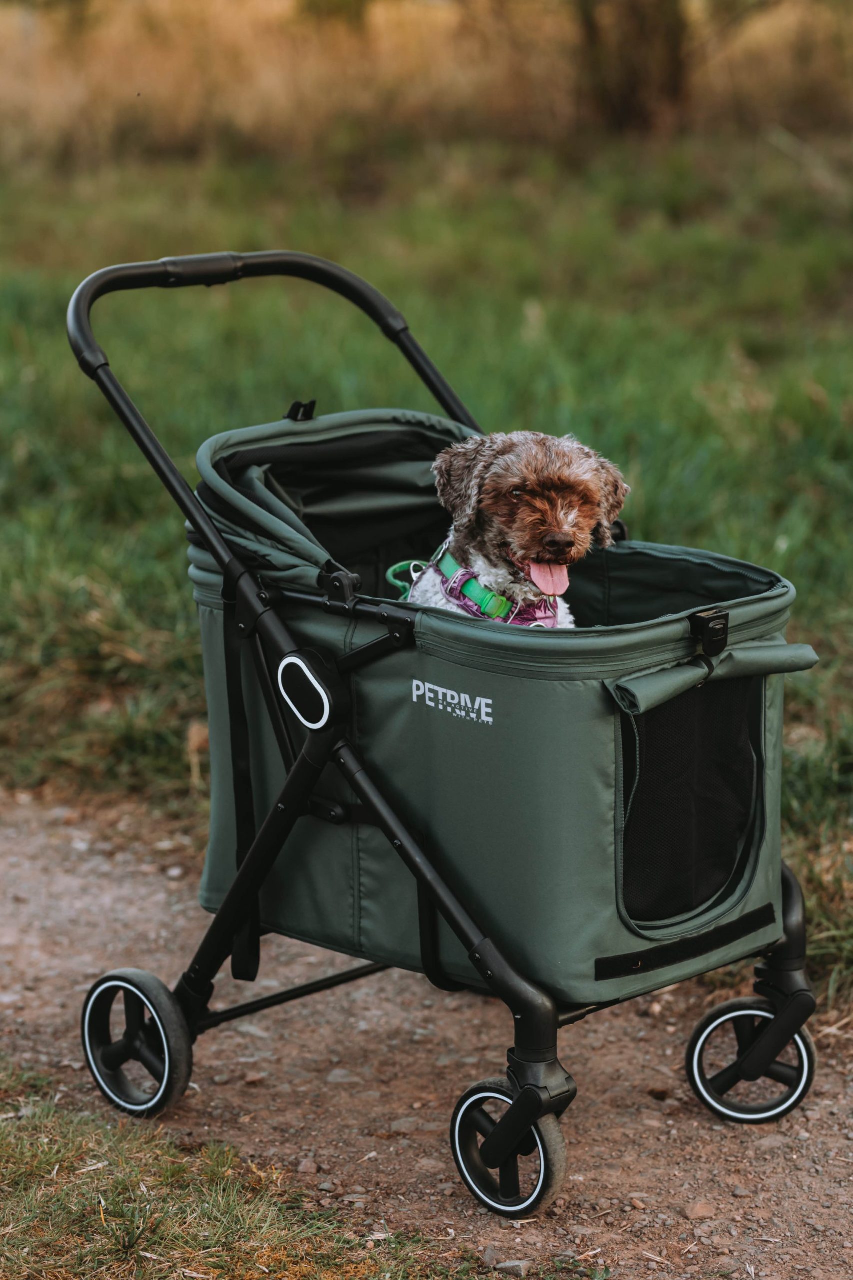 Passeggino per cani o gatti fino a 30 kg – BRIDER