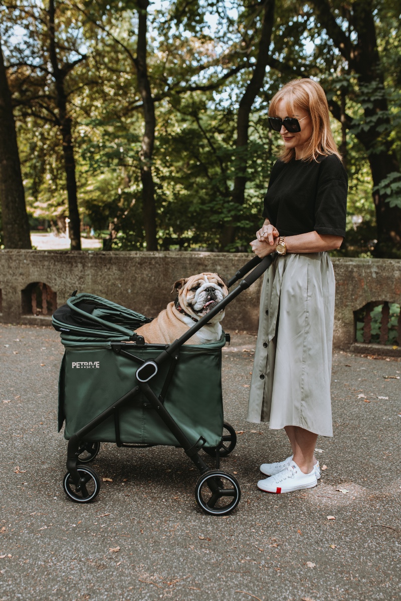 Passeggino per cani o gatti fino a 30 kg – BRIDER - immagine 7