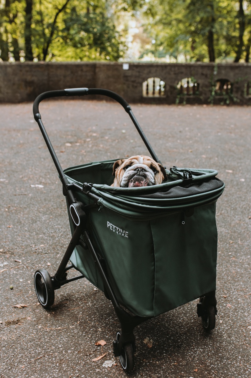 Passeggino per cani o gatti fino a 30 kg – BRIDER - immagine 8