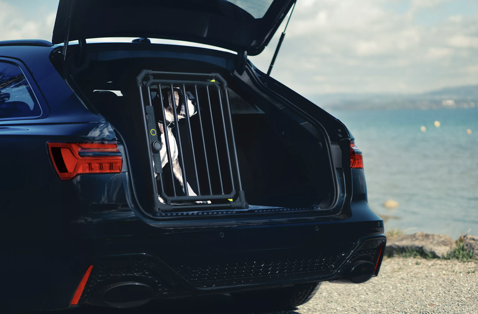 Trasportino auto per cani fino a 45 Kg- 4Pets Pro Noir 3 - immagine 2