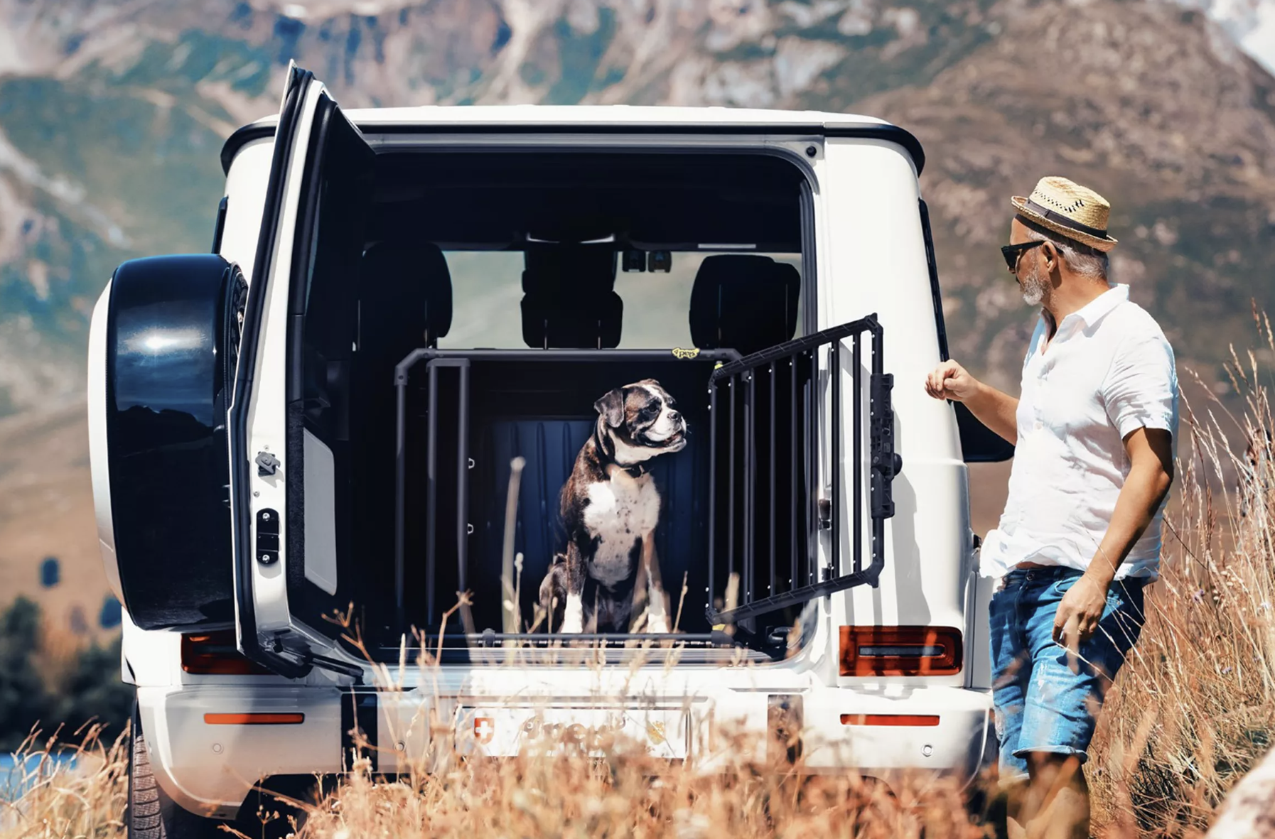 Trasportino auto per cani fino a 45 Kg- 4Pets Pro Noir 4 - immagine 4