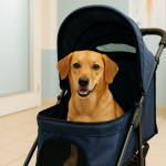 Cane in passeggino durante una visita veterinaria