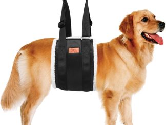 Imbracatura di Supporto per Cani con Zampe Posteriori Deboli – Ausilio per la Mobilità di Cani Anziani e in Riabilitazione