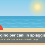 Passeggino per cani in spiaggia estate 2026: guida al mare con il tuo cane