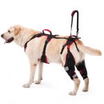 Tutore Ginocchio per Cani ACL/CCL – Supporto Ortopedico Regolabile per Zampe Posteriori, Set da 2 con Maniglia di Sollevamento