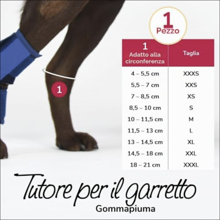 Tutore per Garretto Cane HERZENSTIER - Supporto Ortopedico in Schiuma per Artrosi e Instabilità - immagine 2