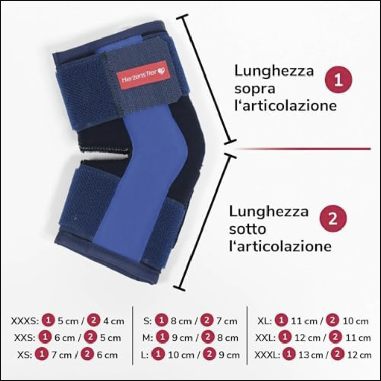 Tutore per Garretto Cane HERZENSTIER - Supporto Ortopedico in Schiuma per Artrosi e Instabilità - immagine 3