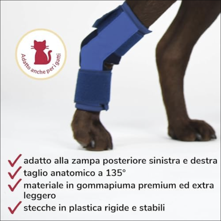Tutore per Garretto Cane HERZENSTIER - Supporto Ortopedico in Schiuma per Artrosi e Instabilità - immagine 4