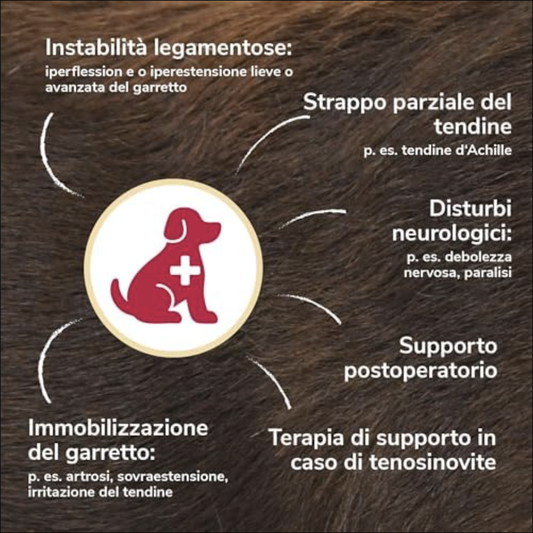 Tutore per Garretto Cane HERZENSTIER - Supporto Ortopedico in Schiuma per Artrosi e Instabilità - immagine 6
