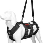 Imbracatura di Sollevamento per Cani a Corpo Intero – Supporto Regolabile con 2 Maniglie per Cani Anziani, Disabili e in Riabilitazione