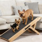 Rampa per Cani in Legno PRIORPET – Regolabile 18-53 cm per Letto e Divano, Ideale per Cani Anziani e con Problemi Articolari