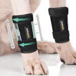 Tutore per Carpo Cane Lyderpet - Supporto Ortopedico Regolabile per Zampa Anteriore, Artrite e Instabilità