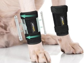 Tutore per Carpo Cane Lyderpet - Supporto Ortopedico Regolabile per Zampa Anteriore, Artrite e Instabilità