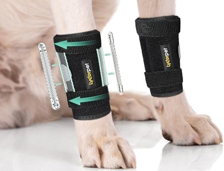 Tutore per Carpo Cane Lyderpet - Supporto Ortopedico Regolabile per Zampa Anteriore, Artrite e Instabilità