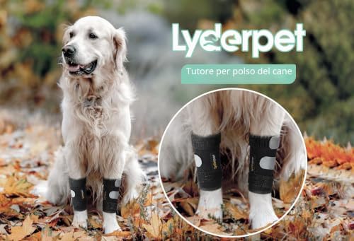 Tutore per Carpo Cane Lyderpet - Supporto Ortopedico Regolabile per Zampa Anteriore, Artrite e Instabilità - immagine 5